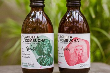 Kombucha de framboesa ou de cúrcuma?