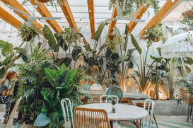 Amelia Brunch