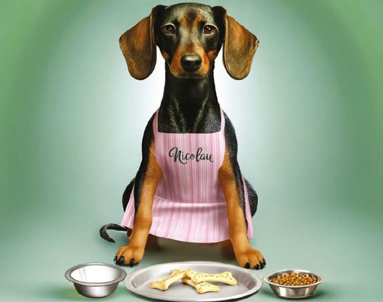 Nicolau & Júlia Talk