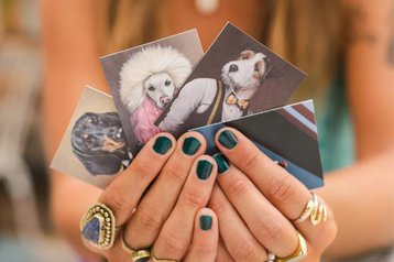 Amélia, Basílio, Nicolau ou Olivia. Qual deles ainda não conheces?